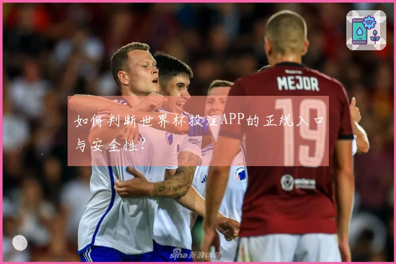 如何判断世界杯投注APP的正规入口与安全性？