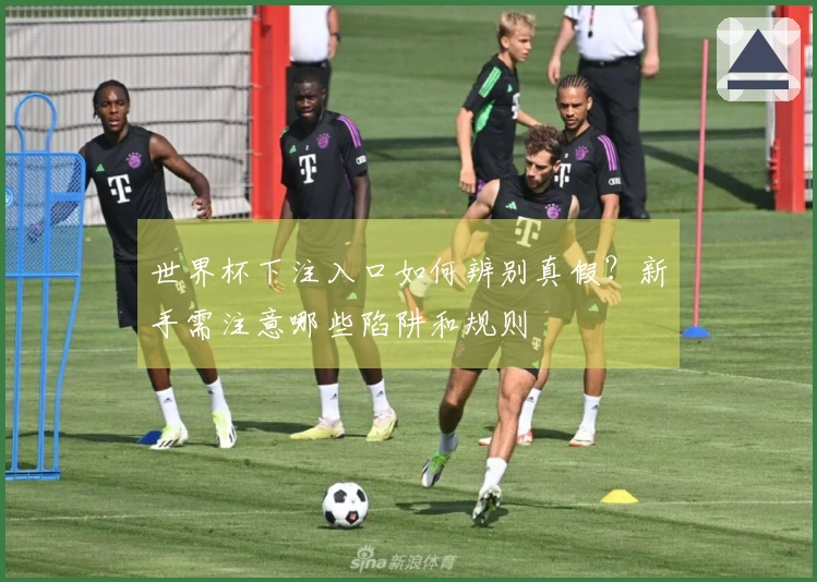 世界杯下注入口如何辨别真假？新手需注意哪些陷阱和规则