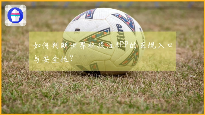 如何判断世界杯投注APP的正规入口与安全性？
