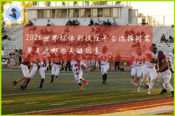 2026世界杯体彩投注平台选择时需要考虑哪些关键因素